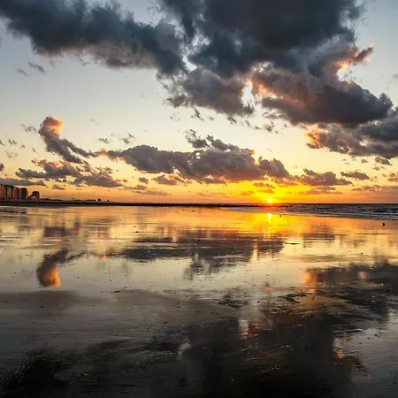By The Sea In Apartment *